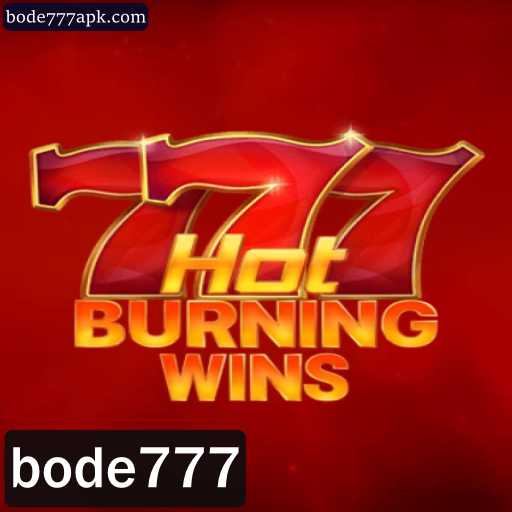 Explorando o Universo de HotBurningWins e as Regras Empolgantes do Jogo