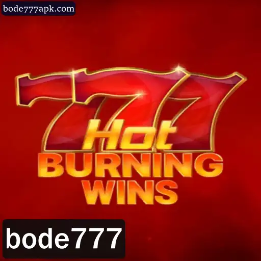 Explorando o Universo de HotBurningWins e as Regras Empolgantes do Jogo